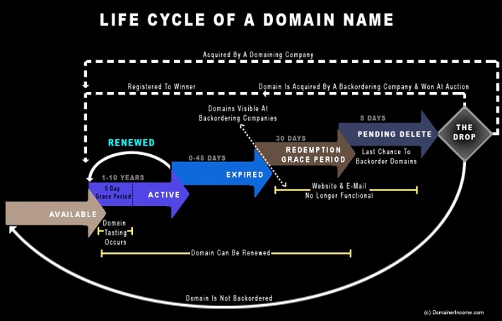 How to Get an Expired Domain Name